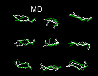 MD changes